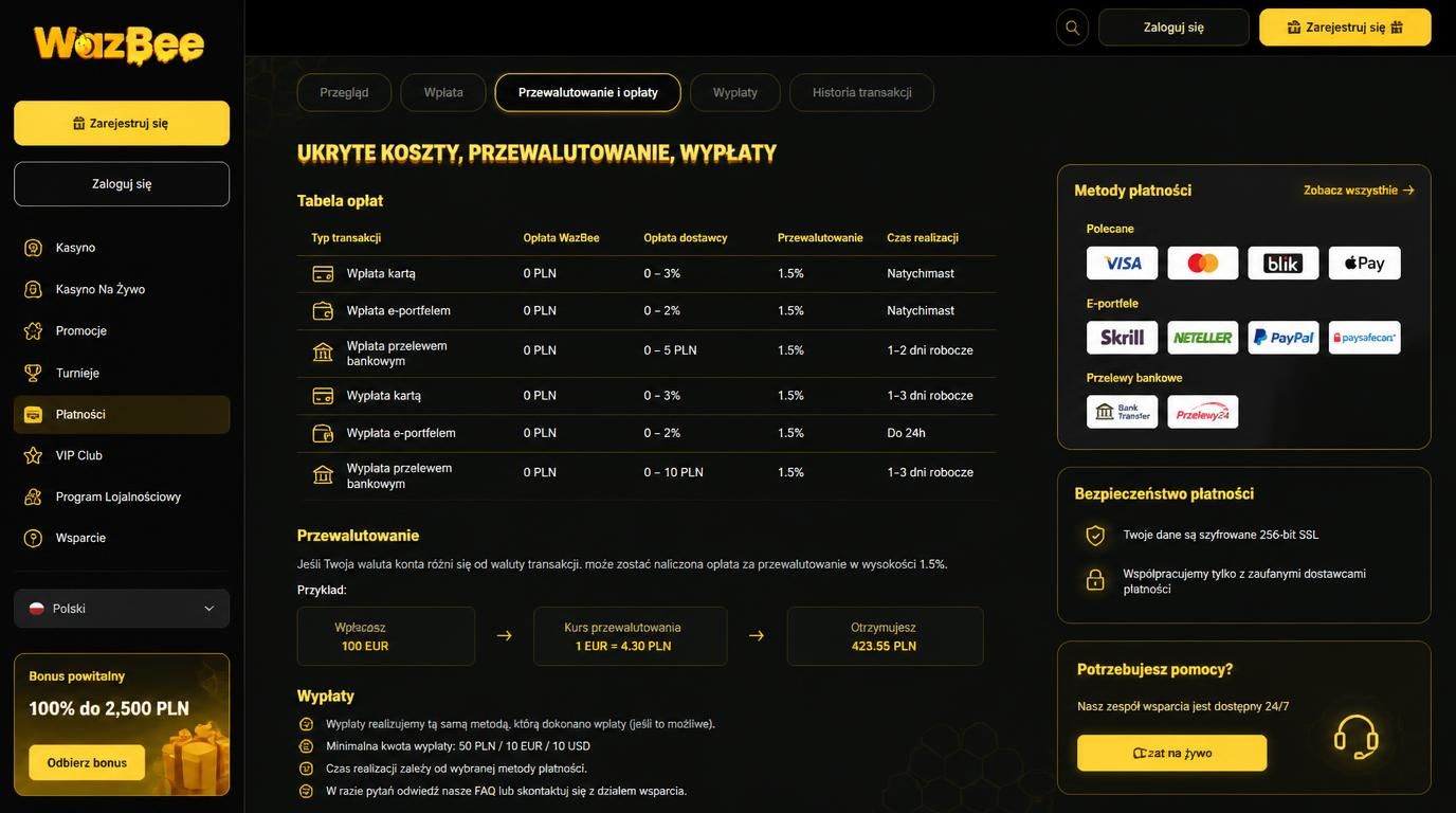 Tabela opłat i metod płatności kasyna